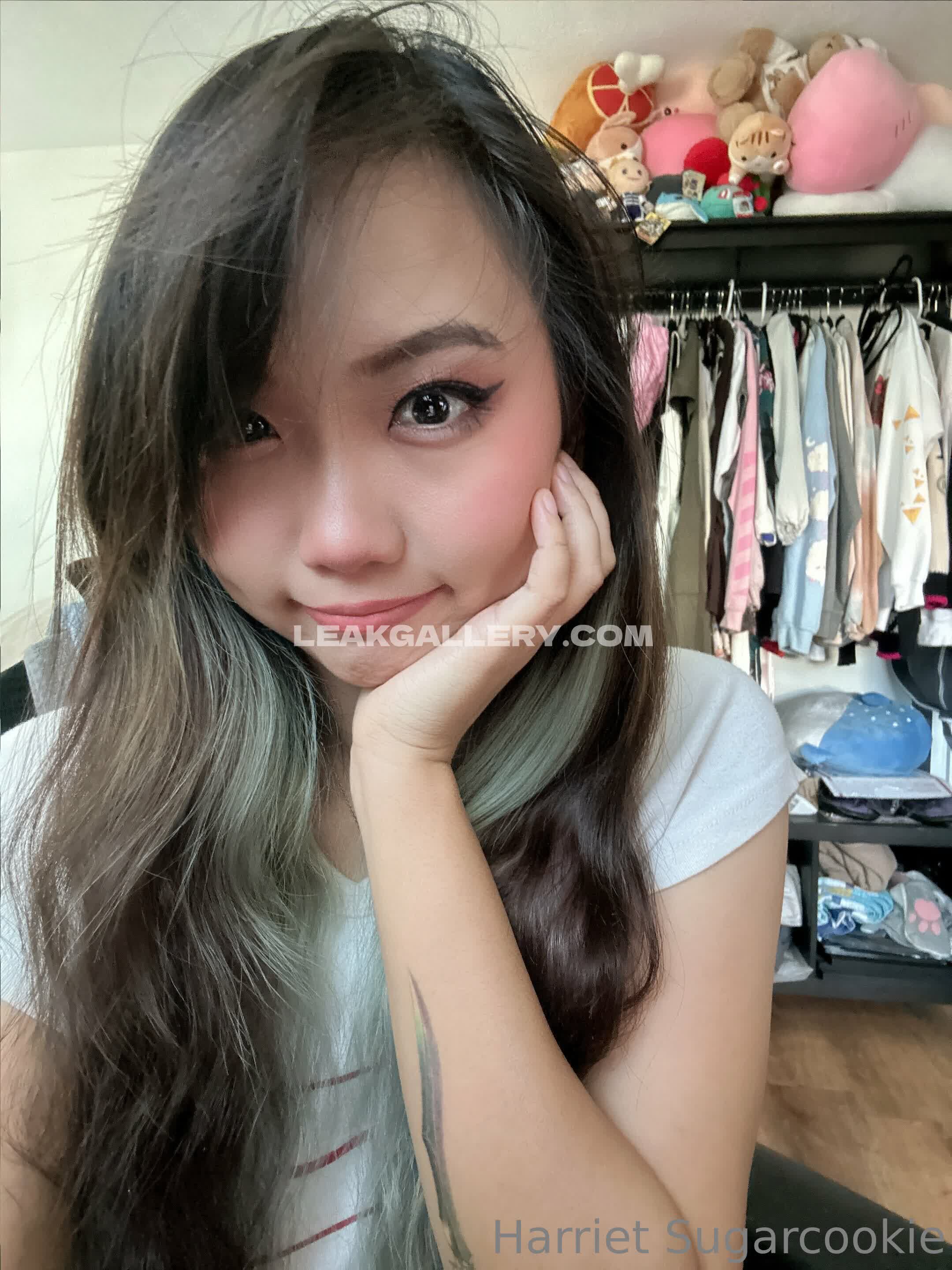 Harrietsugarcookie Exclusive Leaked Nude OnlyFans #12957792
