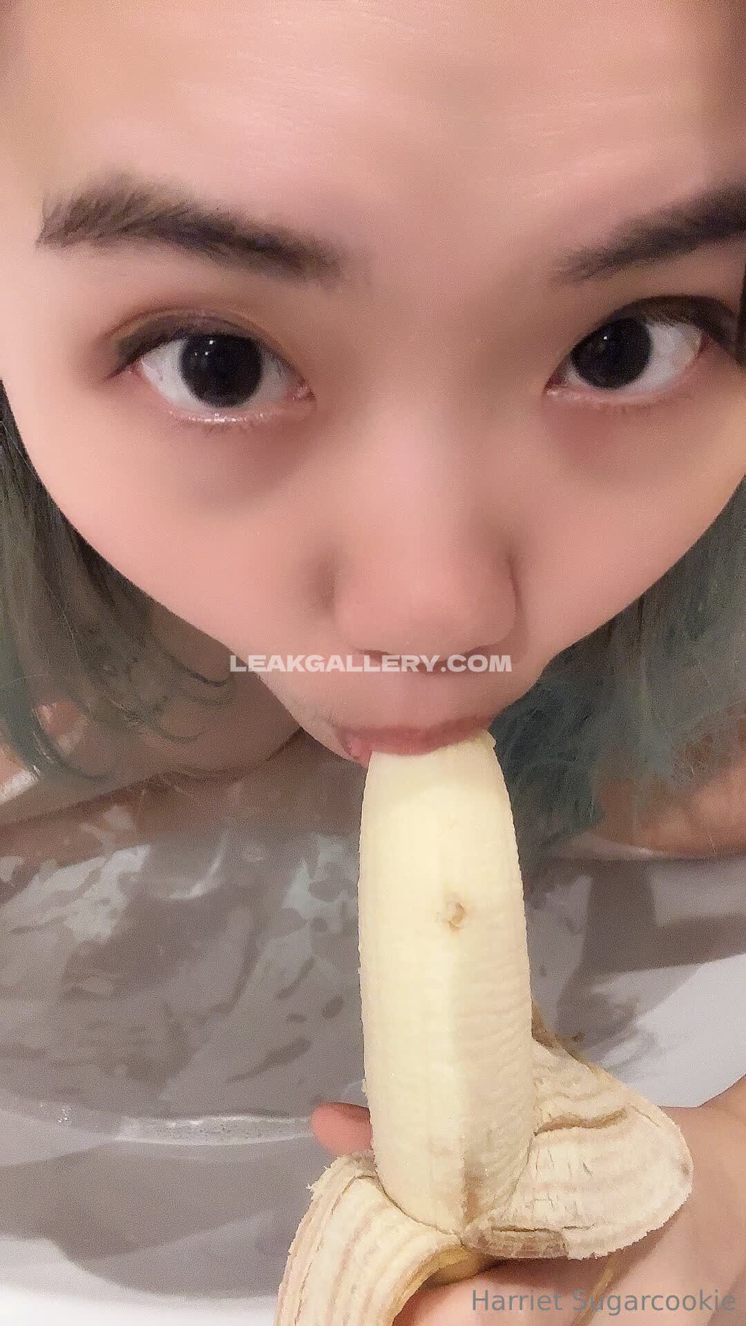 Harrietsugarcookie Exclusive Leaked Nude OnlyFans #12959044