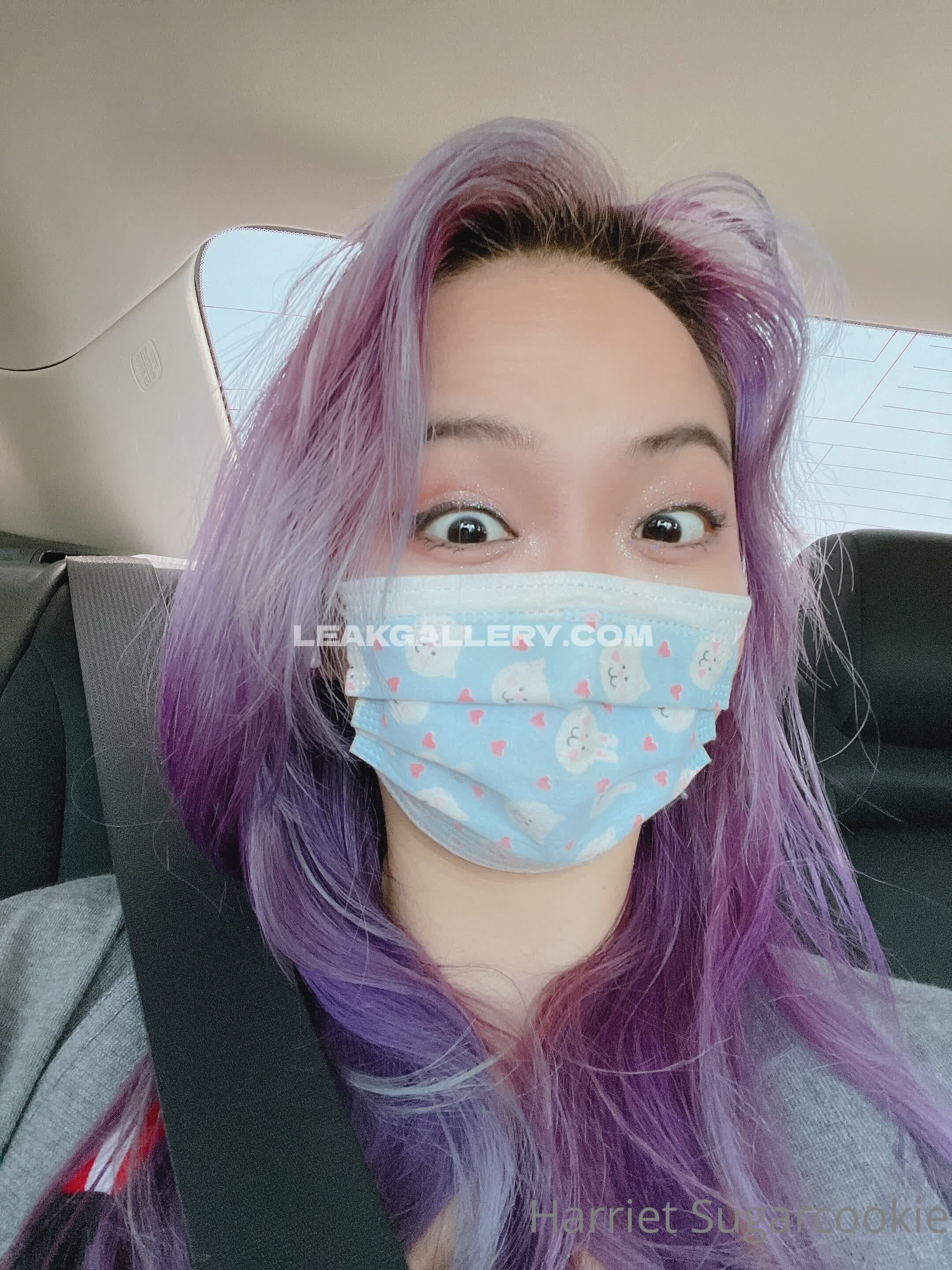 Harrietsugarcookie Exclusive Leaked Nude OnlyFans #12957723