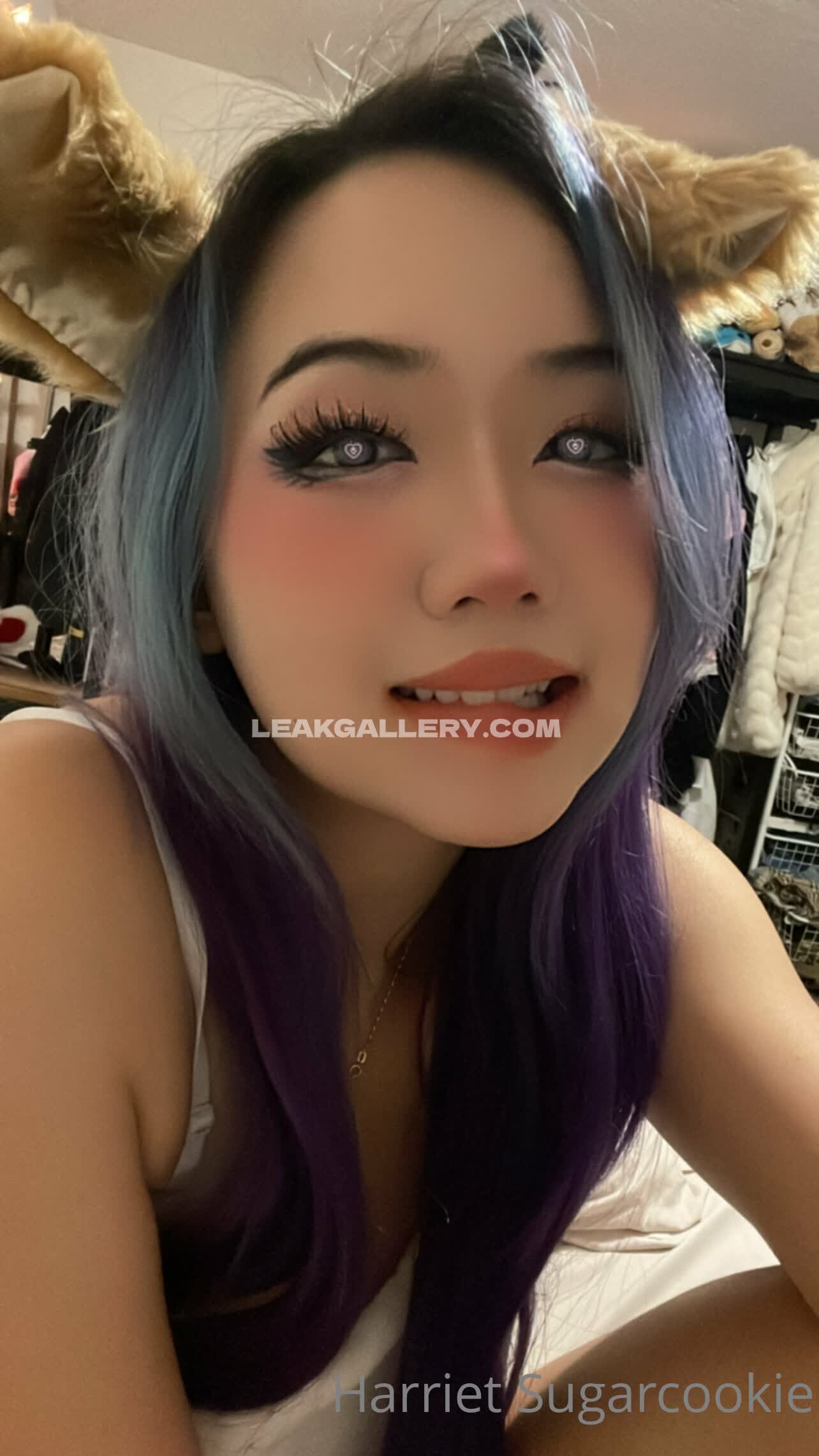 Harrietsugarcookie Exclusive Leaked Nude OnlyFans #12958611