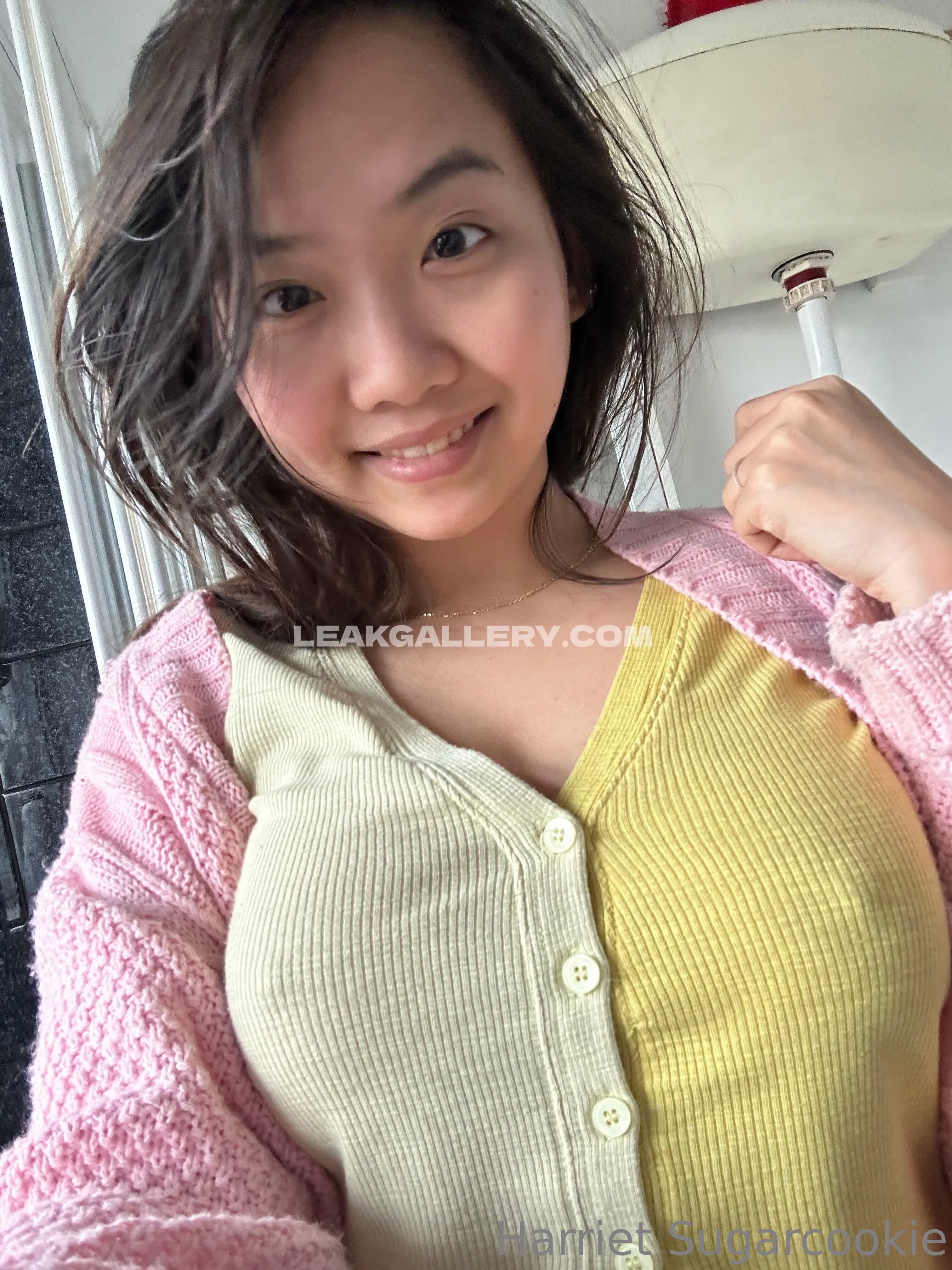 Harrietsugarcookie OnlyFans Nudi in Esclusiva Trapela #12956004
