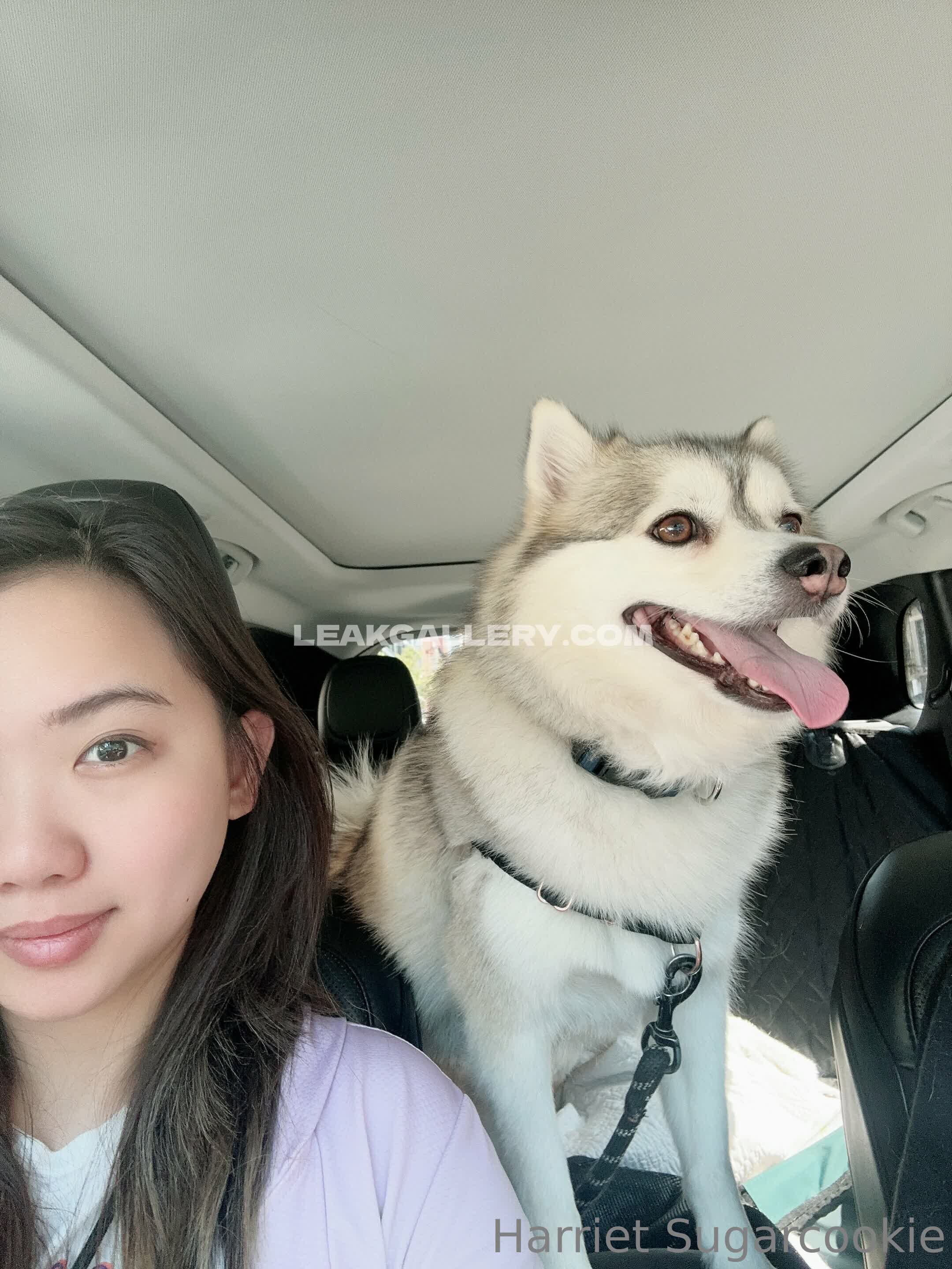 Harrietsugarcookie Exclusive Leaked Nude OnlyFans #12957997