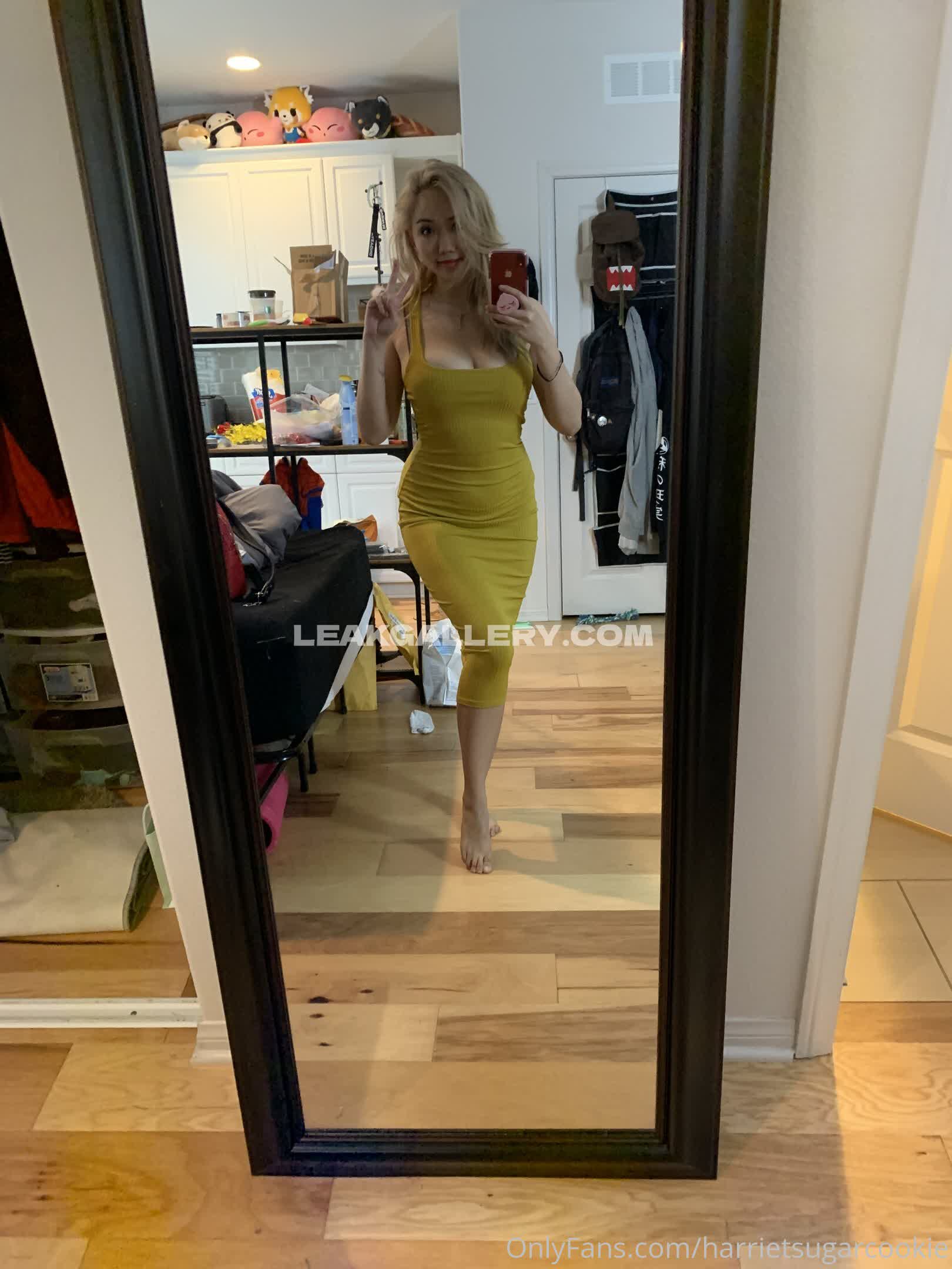 Harrietsugarcookie Exclusive Leaked Nude OnlyFans #12958438
