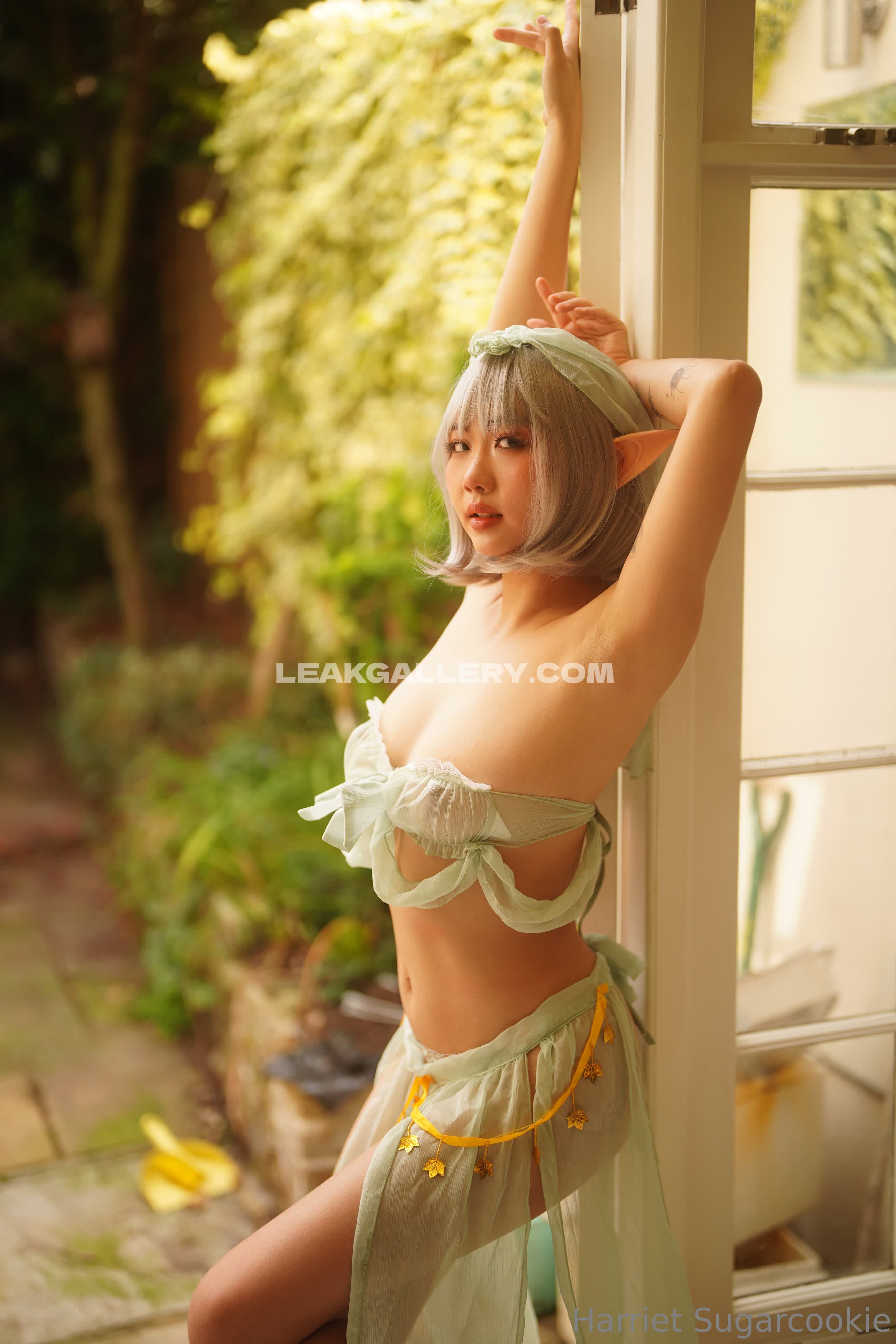 Harrietsugarcookie Exclusive Leaked Nude OnlyFans #12956633