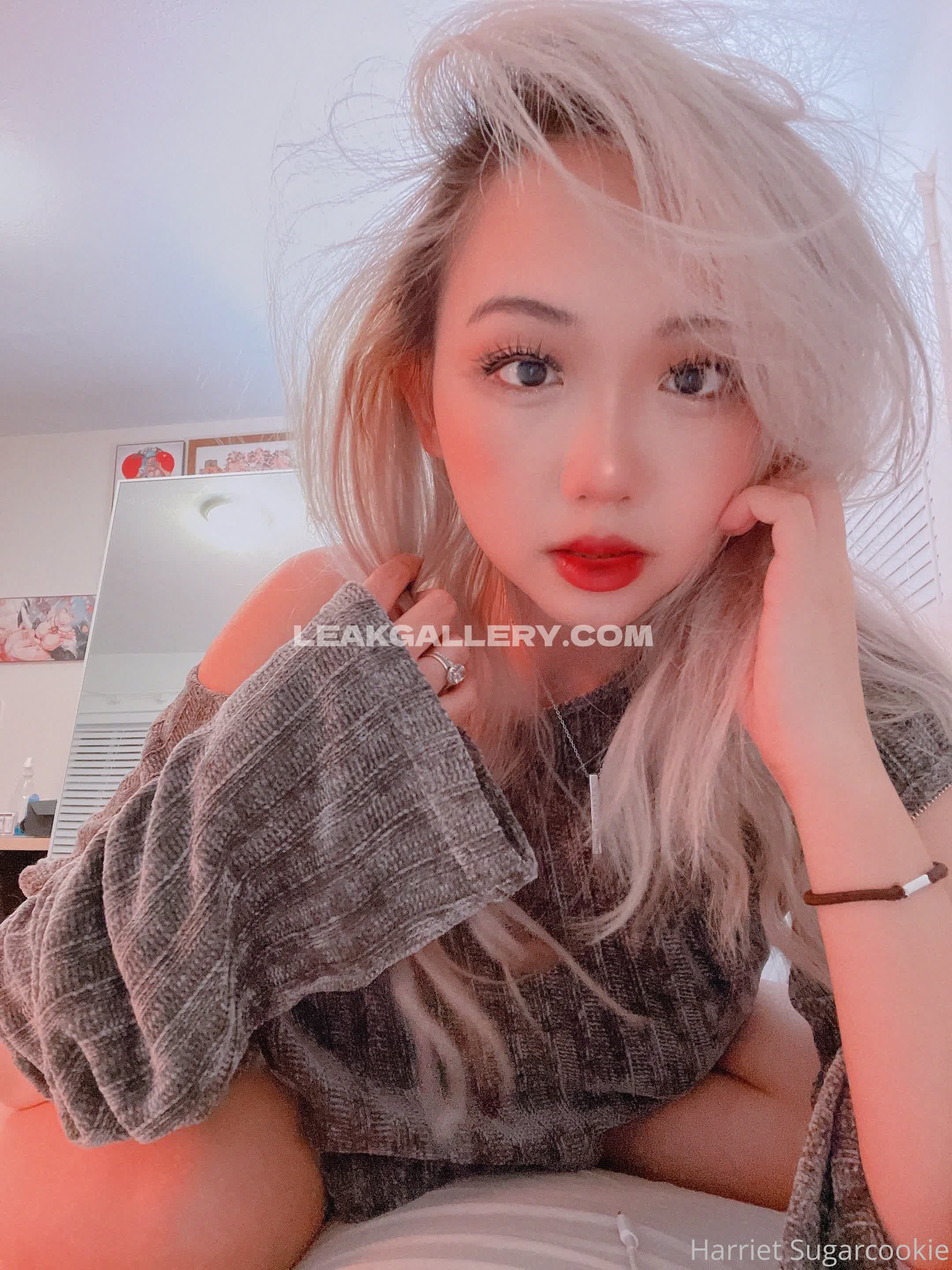 Harrietsugarcookie Exclusive Leaked Nude OnlyFans #12957687