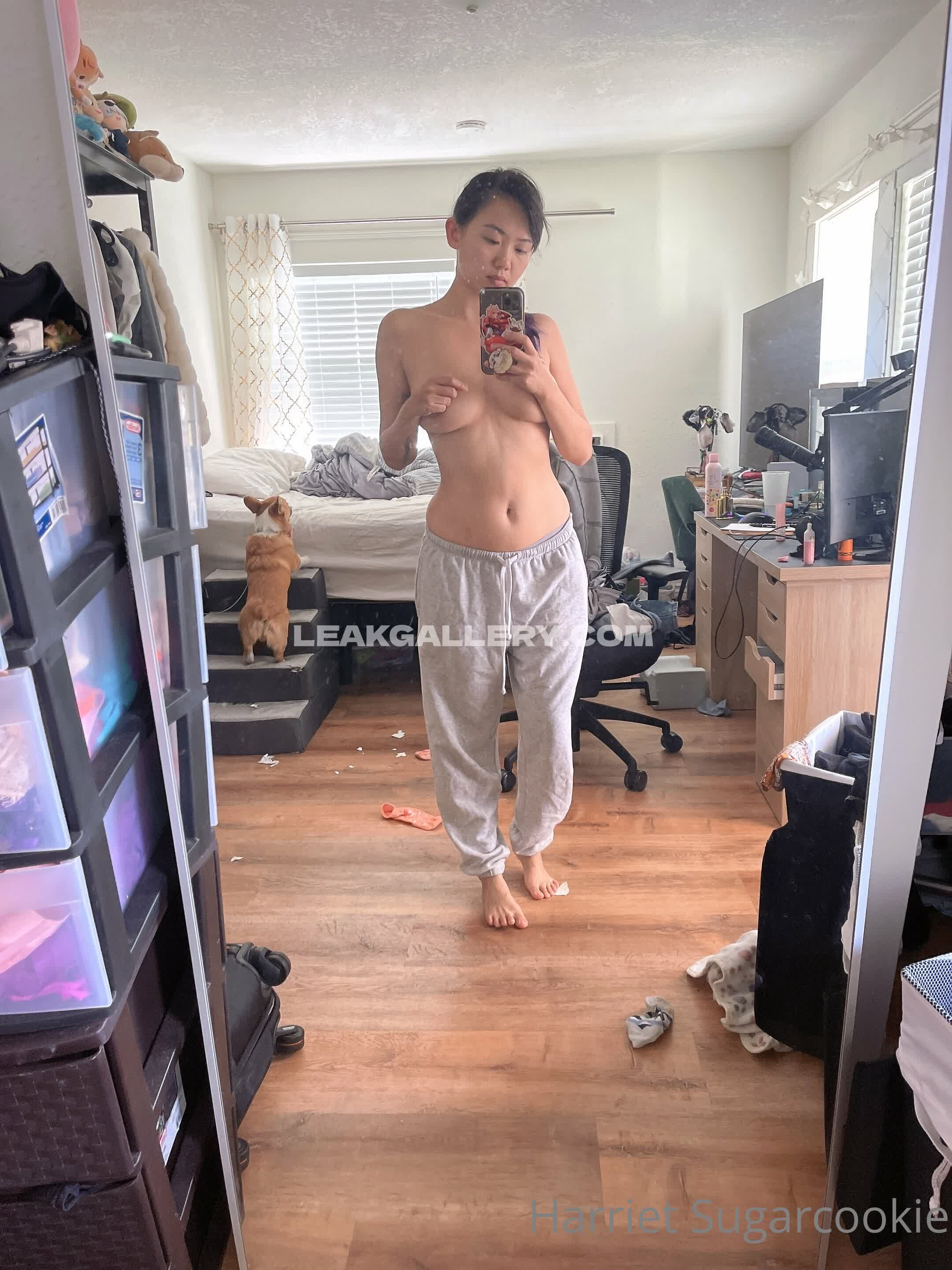 Harrietsugarcookie OnlyFans Nudi in Esclusiva Trapela #12957350