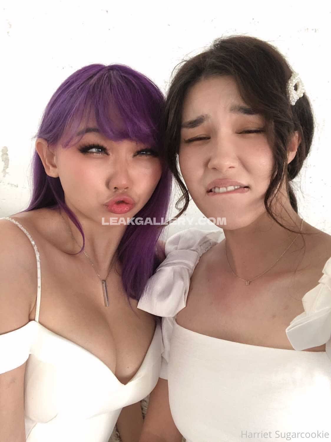 Harrietsugarcookie Exclusive Leaked Nude OnlyFans #12958829