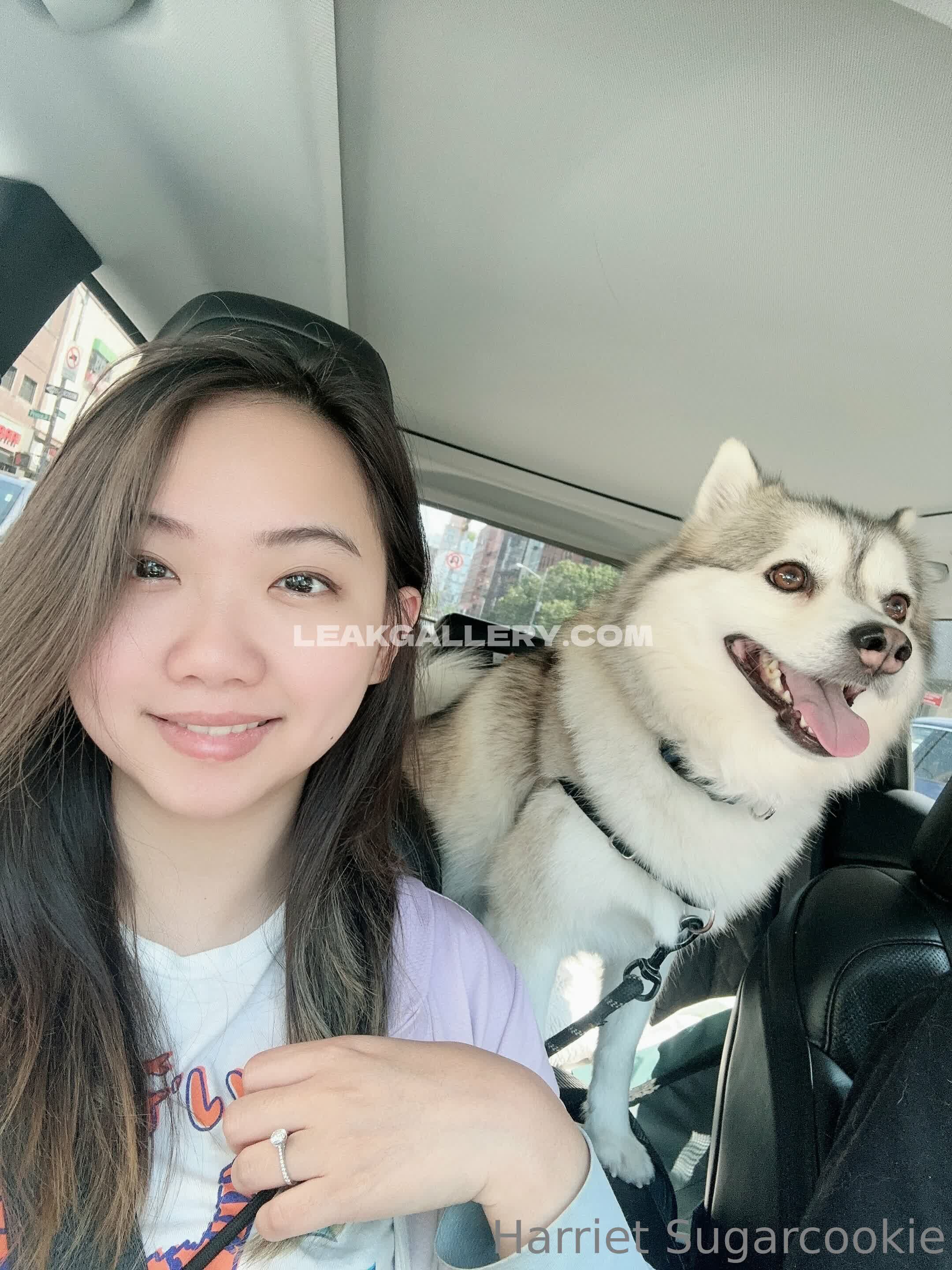 Harrietsugarcookie Exclusive Leaked Nude OnlyFans #12957726