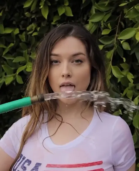 heylaurensummer