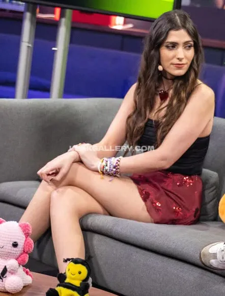 kaquka_