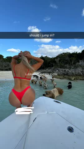 Katie Sigmond / Katiesigmondd Exclusive Leaked Nude OnlyFans #13671201