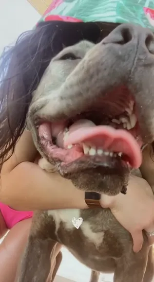 Keilah Pink Bikini Dog Kiss OnlyFans Video Leaked