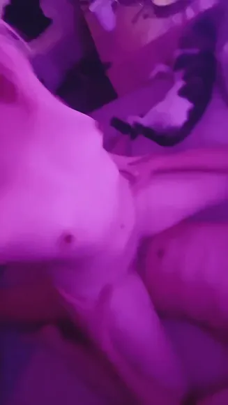 kitty2002102