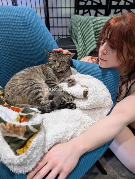 kittybitgames