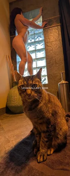 kittybitgames