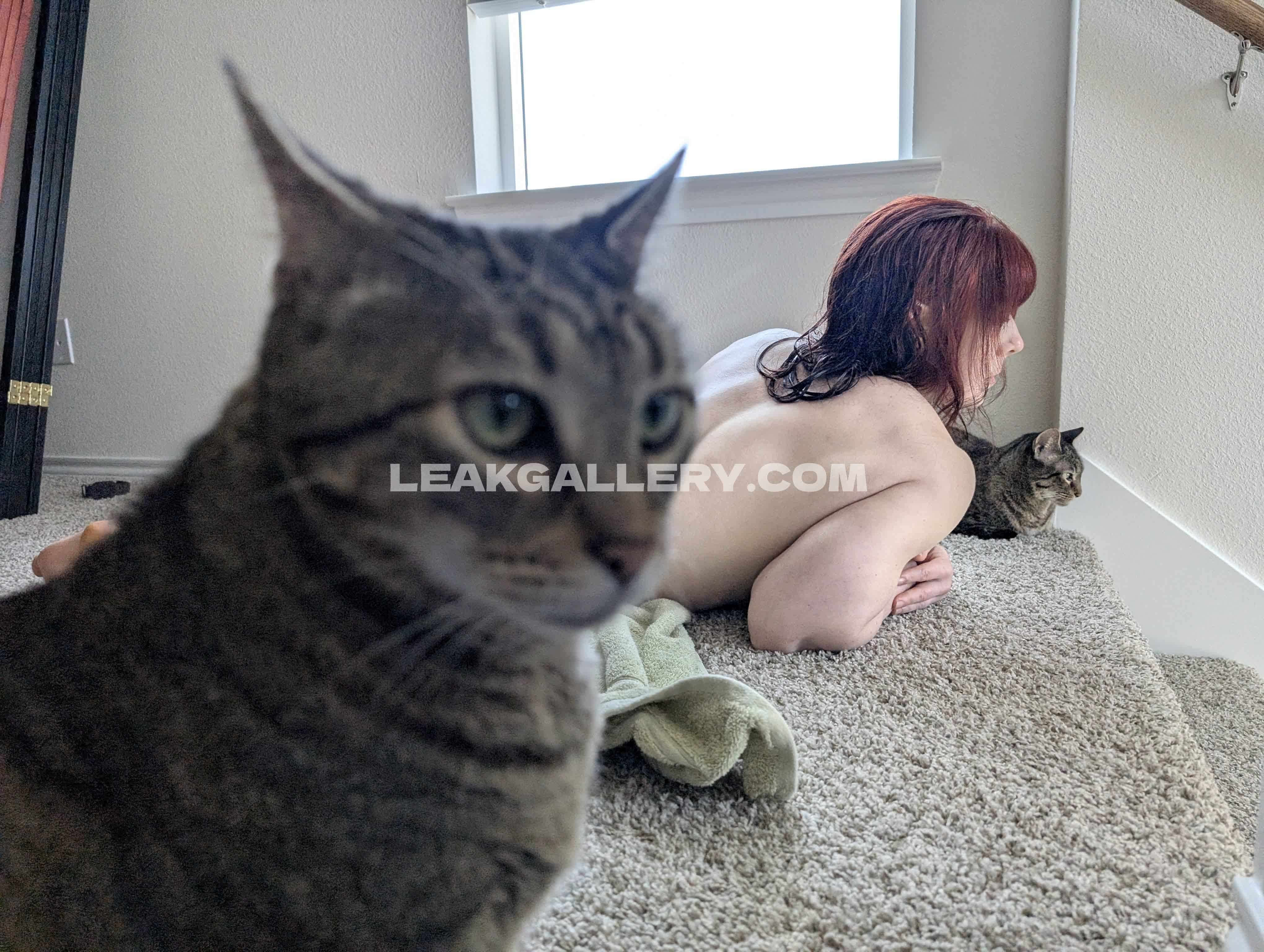 Kittybitgames Nudes vazados exclusivos do OnlyFans #13103792