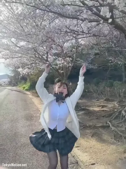 komachi