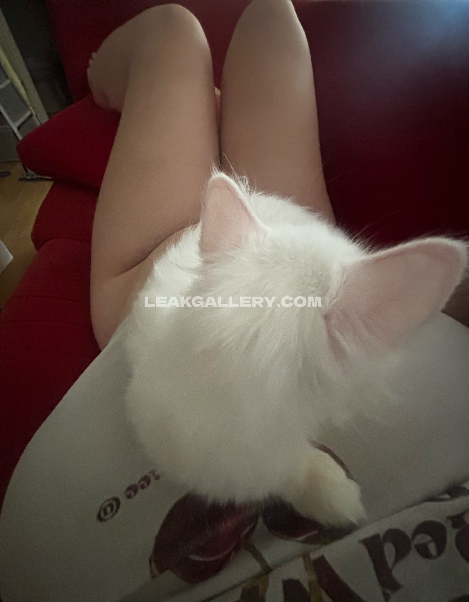 Kratuizaza Exclusive Leaked Nude OnlyFans #13066501