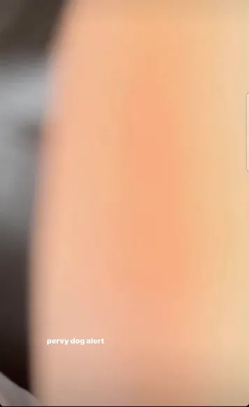 Kurixtee Legs Spread With Dog OnlyFans Video Leaked