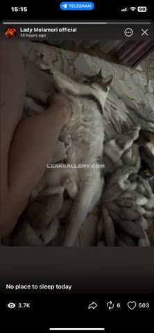 Ladymelamori Exclusive Leaked Nude OnlyFans #14279426