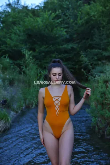 lisiflex