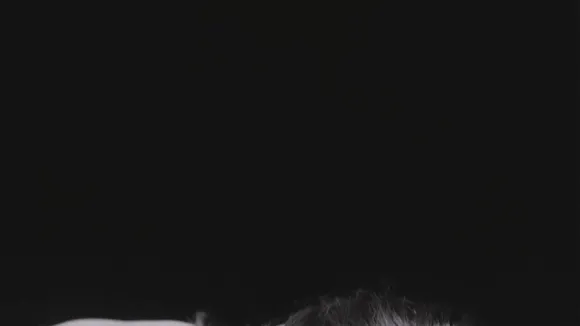 Margaret_qualley Sheer Dress Dance Moves OnlyFans Video Leaked