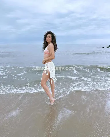 meghanlane
