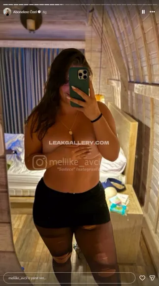 meliike_avcii