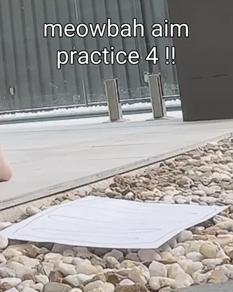 meowbahx video thumbnail