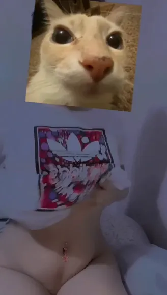 miau.1.9 video thumbnail