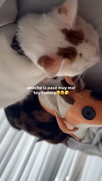michiuwu18