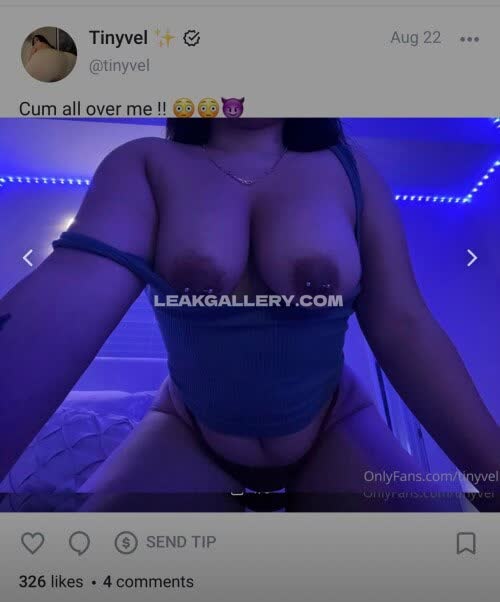 Tinyvel / N0e1lx Exclusive Leaked Nude OnlyFans #14750090