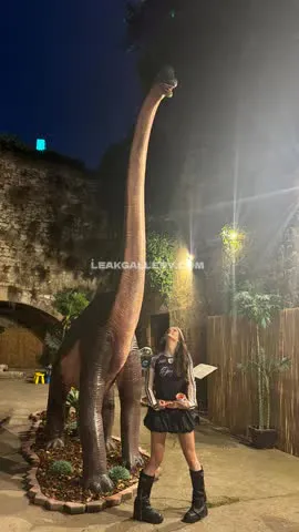 nadinebreaty