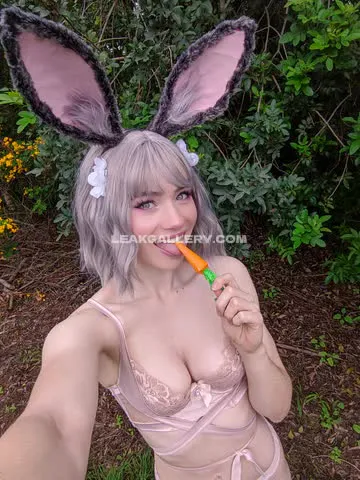 nichameleon