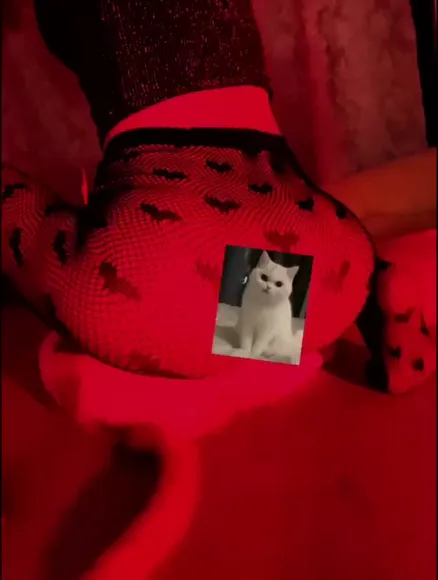 nikaypypy