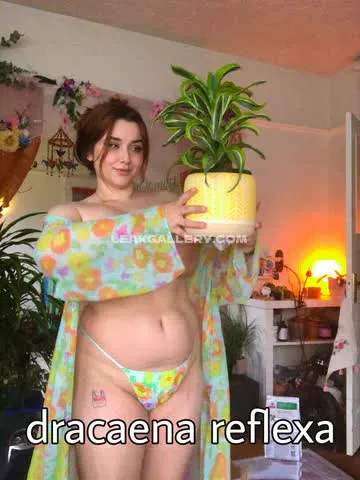 nixxxie