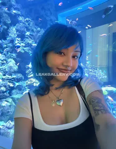 nomamesnico