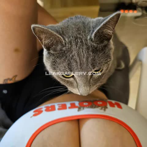Norajoying Cat On Lap Thong OnlyFans Photo Leaked