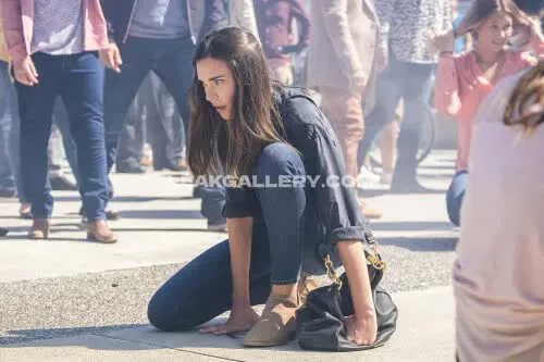 odette_annable