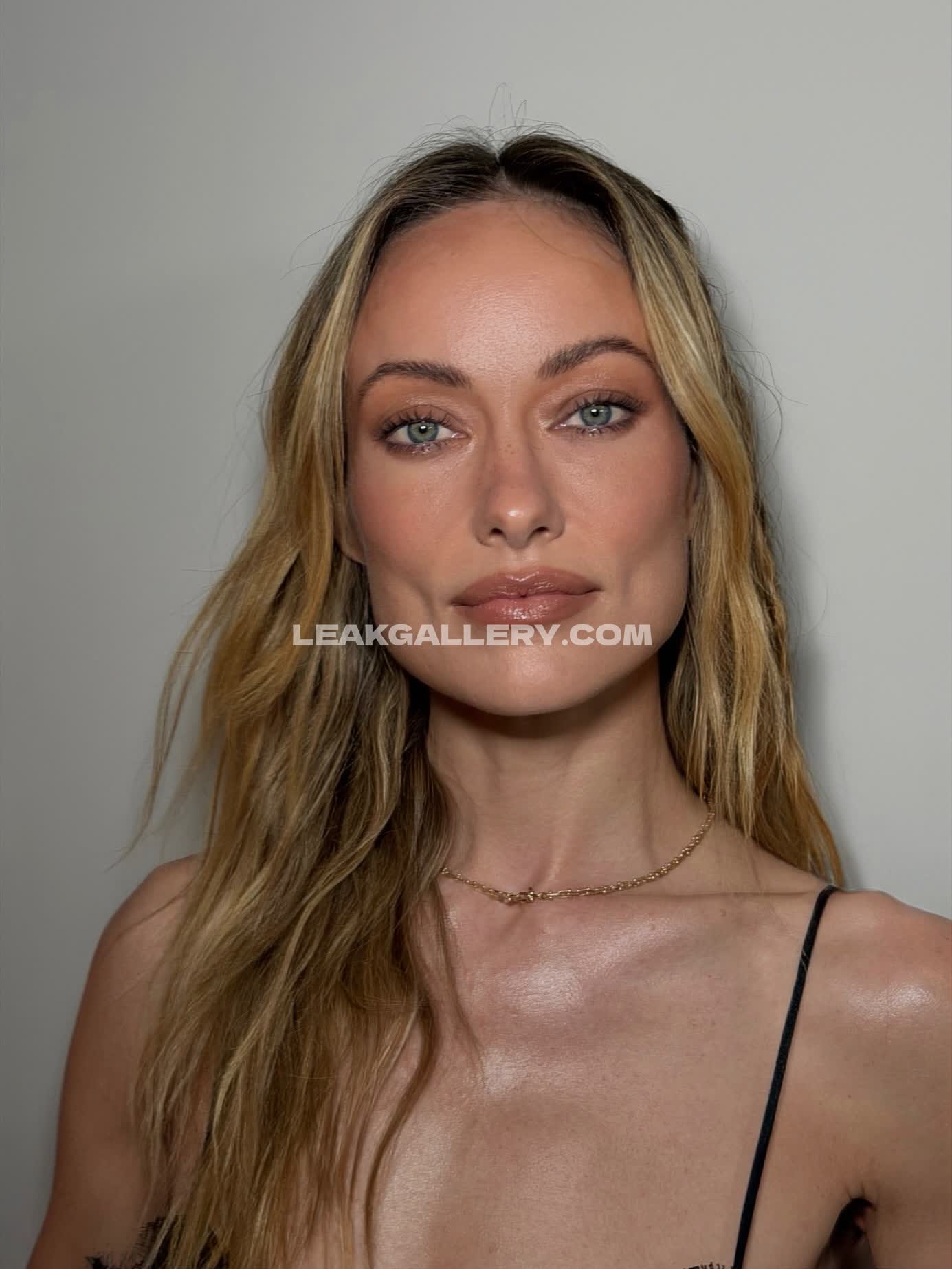 Oliviawilde Nudes vazados exclusivos do OnlyFans #12629022