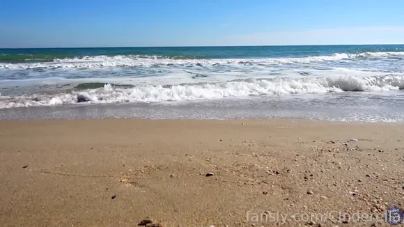 Pilgrimgirl Floral Swimsuit Beach Pose OnlyFans Video Leaked