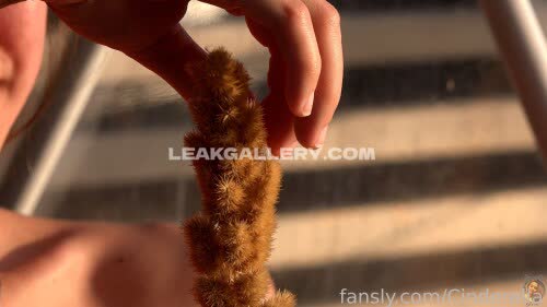 Pilgrimgirl Exclusive Leaked Nude OnlyFans #12100563