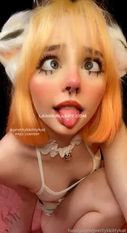 prettykkittykat