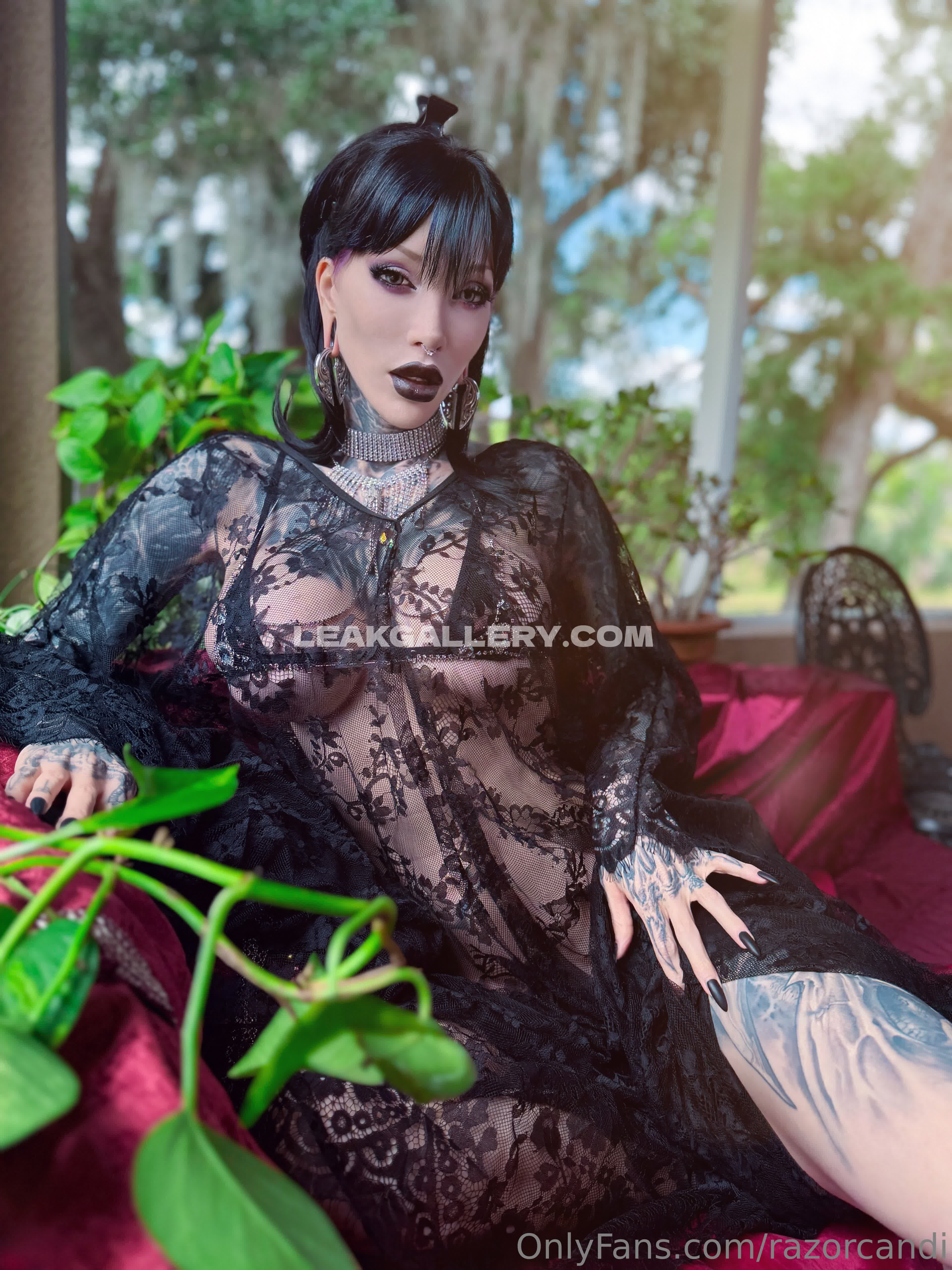 Razorcandi Exclusive Leaked Nude OnlyFans #12634412