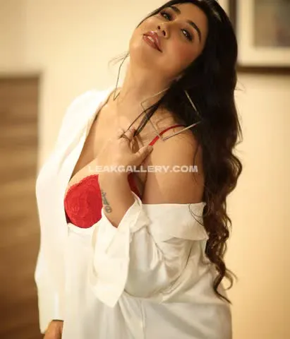 ruchirajofficial