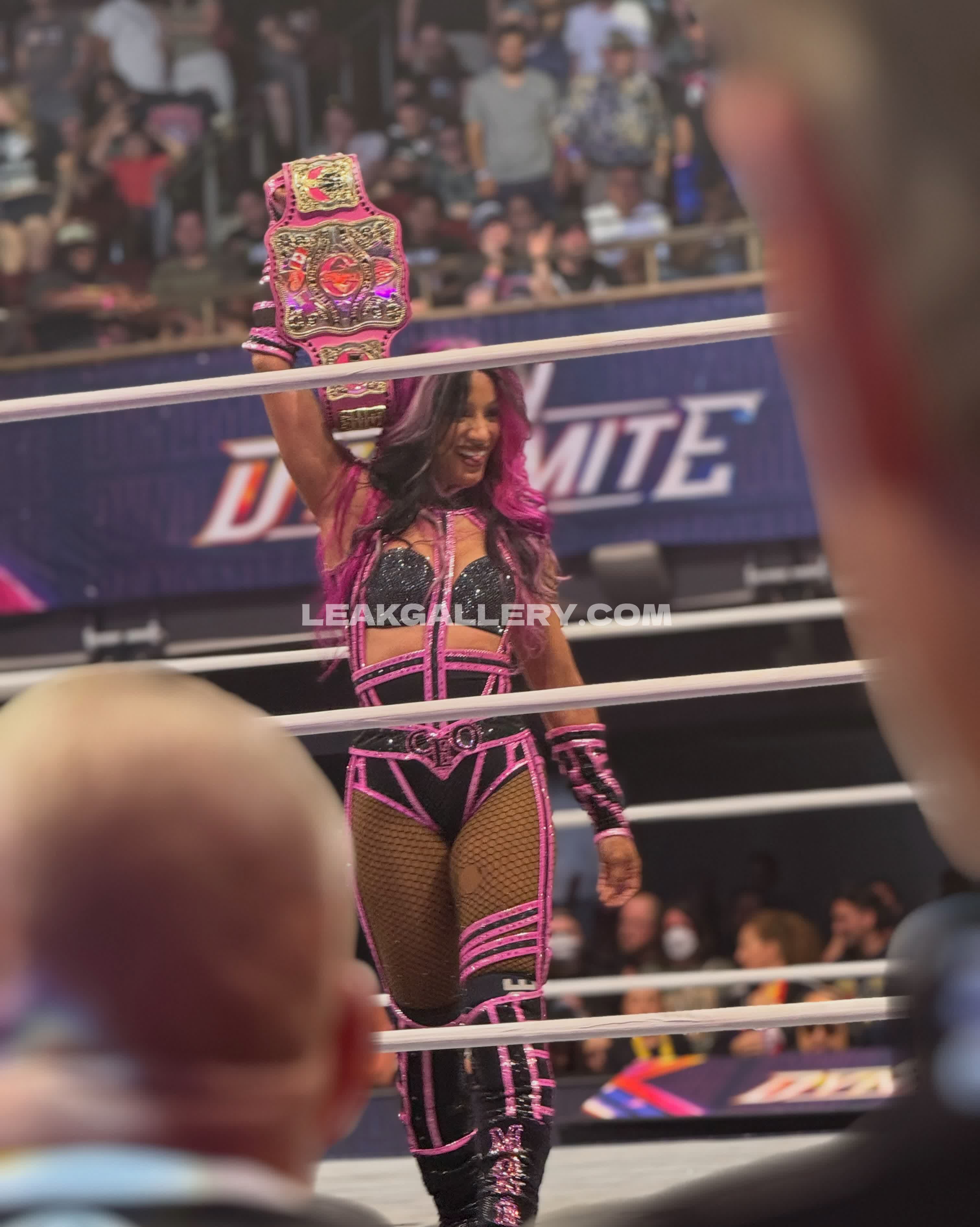 Sashabankswwe Exclusive Leaked Nude OnlyFans #13207776
