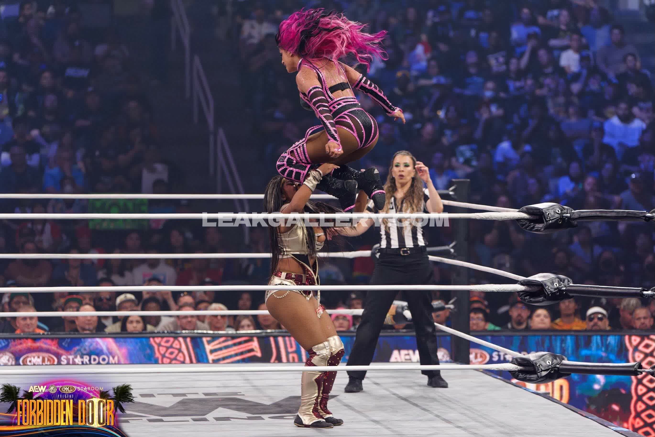 Sashabankswwe Exclusive Leaked Nude OnlyFans #12945372