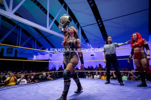 Sashabankswwe Exclusive Leaked Nude OnlyFans #12115852