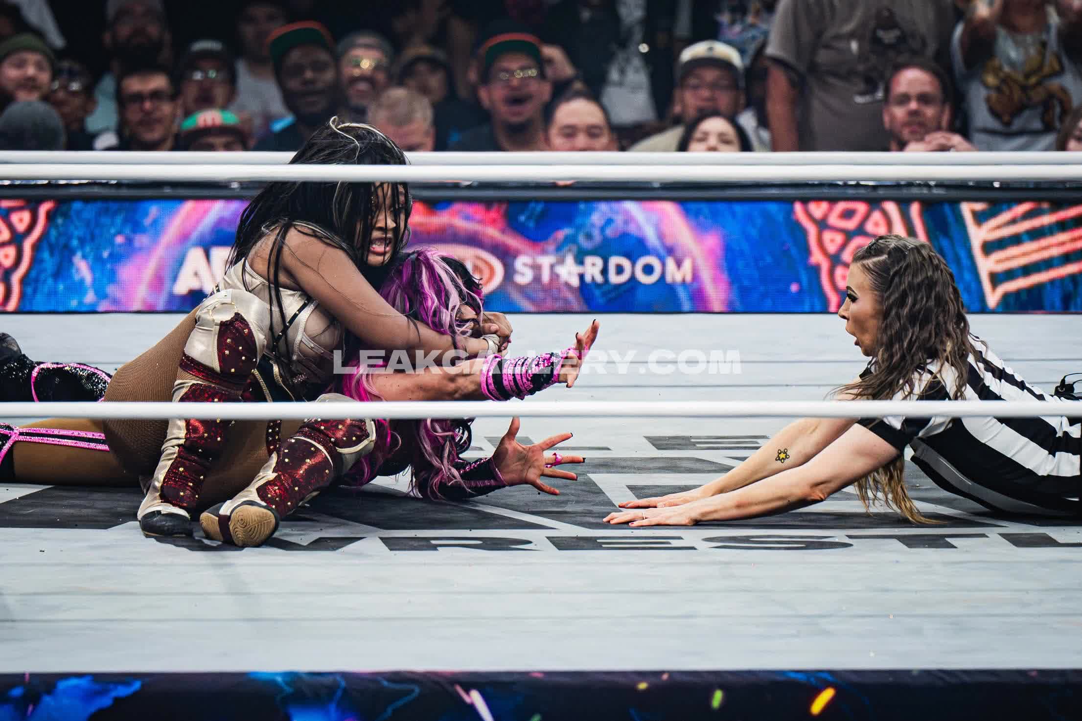 Sashabankswwe Exclusive Leaked Nude OnlyFans #13041955