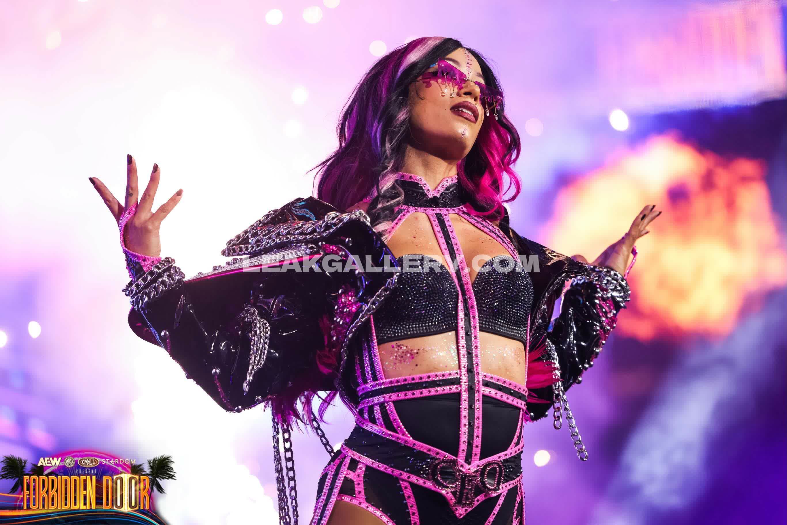 Sashabankswwe Exclusive Leaked Nude OnlyFans #12945351